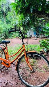 an orange bike parked on a dirt road at Kataragama Homestay in Kataragama