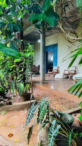 Zahrada ubytování Kataragama Homestay