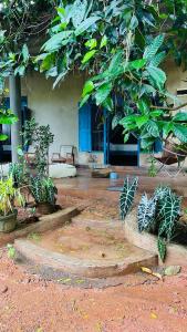 Zahrada ubytování Kataragama Homestay