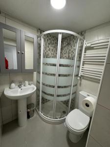 a bathroom with a shower and a toilet and a sink at Piso nuevo Centro Doctor Casal in Oviedo