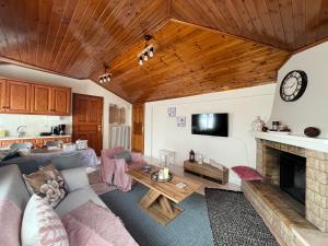 uma sala de estar com um sofá e uma lareira em Chalet Arachova - Breathtaking View em Arachova
