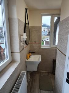 Un baño con lavabo, espejo y ventana. en Villa Coca, en Câmpulung Moldovenesc