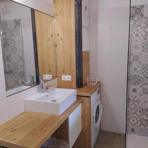een badkamer met een wastafel en een wasmachine bij Le Carré de Bois in Briançon