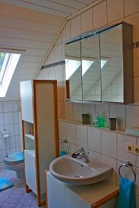 a bathroom with a sink and a mirror and a toilet at Ferienwohnung Preisinger in Gammertingen +9 photos
