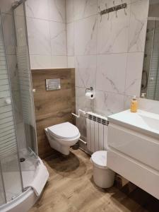 a bathroom with a toilet and a sink and a shower at Noclegi U Reni in Białka Tatrzańska