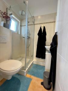 a bathroom with a shower and a toilet and a sink at Ferienwohnung unter den Linden in Malente