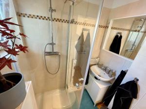 a bathroom with a shower and a sink at Ferienwohnung unter den Linden in Malente