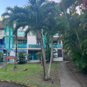 Giardino di Studio La «KAZ’ À COCO» Anse Caritan