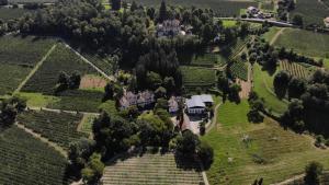 an aerial view of a mansion in a vineyard at Castel Campan in Bressanone