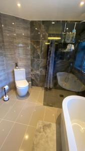 a bathroom with a toilet and a tub and a sink at Stunning double bedroom Greenwich London, in London