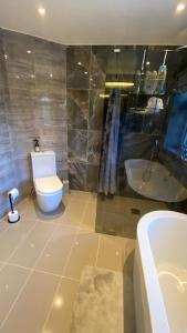 a bathroom with a toilet and a tub and a sink at Stunning double bedroom Greenwich London in London