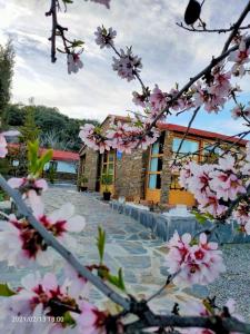 Zahrada ubytování El Paraje del Chef