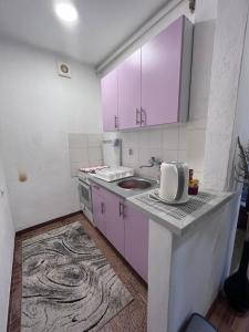 Kuchyň nebo kuchyňský kout v ubytování Apartment Raza