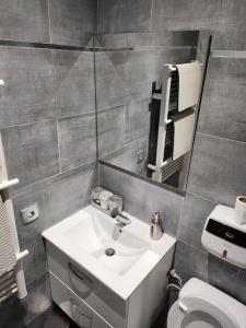 bagno con lavandino, servizi igienici e specchio di Appart avec jardin proche Paris ad Aubervilliers