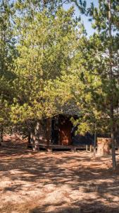 Fotografie z fotogalerie ubytování cabañas riveras rentals v destinaci Algarrobo