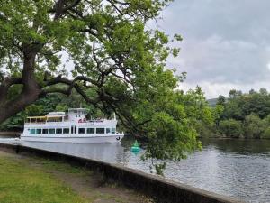 a white boat on the water next to a tree at Cosy 2 bedroom house on the edge of Balloch in Balloch