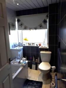 a bathroom with a toilet and a sink and a window at Cosy 2 bedroom house on the edge of Balloch in Balloch