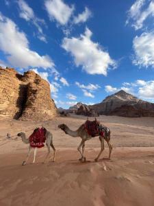 two camels walking in the desert under a blue sky at Rest luxury camp in Disah
