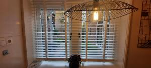 a large window with a potted plant in front of it at Het prinsentuintje in Leeuwarden +30 photos