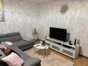 een woonkamer met een bank en een flatscreen-tv bij Superbe appartement avec magnifique vue sur Paris in Sucy-en-Brie