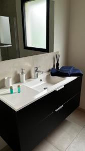 een badkamer met een witte wastafel en een spiegel bij Chez Chris et Gildas in Gilly-sur-Isère