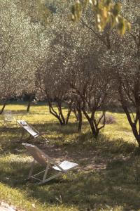 a bench sitting in the grass next to trees at Paratgea in Llinars del Vallès