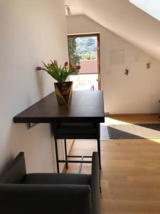 Fotografie z fotogalerie ubytování LaBellaSu Studio v destinaci Sutivan