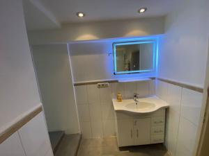 a bathroom with a sink and a mirror at Ferien-Villa direkt am Rhein Sauna/Whirlpool in Götterswickerhamm +25 photos