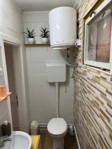 małą łazienkę z toaletą i umywalką w obiekcie Jelka w mieście Sremski Karlovci
