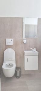 uma casa de banho com um WC branco e um lavatório. em Apartment em Vitina