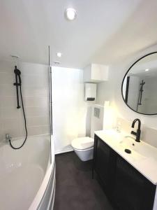 La salle de bains est pourvue d'un lavabo, de toilettes et d'un miroir. dans l'établissement Casita: maison duplex +parking/terrasse/Netflix, à Troyes