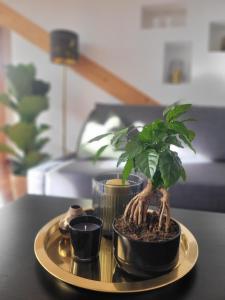 Posezení v ubytování Appartement Lockei