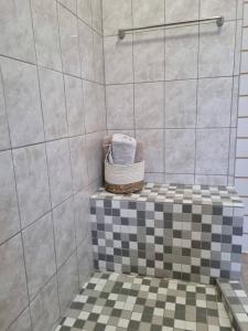 y baño con ducha y una cesta de toallas. en Seabreeze Accommodation, en Lüderitz