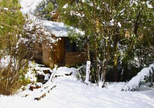 une cabane en rondins dans la neige avec des arbres dans l'établissement Refugio Pachalquimia, à San Carlos de Bariloche