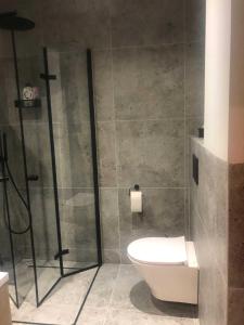 un baño con ducha y WC en Apartament Haffnera, en Sopot 16 fotos más