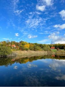 a view of a river with trees and a blue sky at Ferienhaus Melzower Waldhaus Montagewohnung in Melzow +11 photos