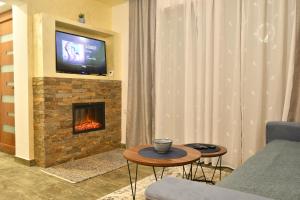 茲拉蒂博爾的住宿－Brvnara Mont 3，客厅设有壁炉和电视。