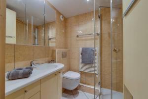 a bathroom with a shower and a toilet and a sink at FRANCHET B 34 in La Daille