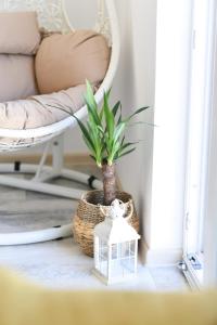 a plant in a basket and a lantern on a table at pappy home in Pasuljište