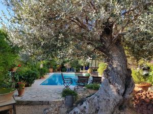 a tree in front of a swimming pool at Luxury Villa with Sea and Mountainview in Foyes Blanques