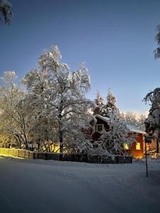 Fotografie z fotogalerie ubytování Cityhome Ainola v destinaci Rovaniemi