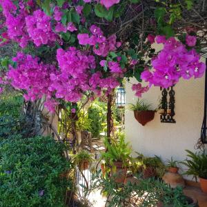 Vonkajšia záhrada v ubytovaní Luxury Villa Costa Blanca Sea View