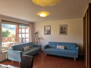ein Wohnzimmer mit zwei blauen Sofas und einem Fenster in der Unterkunft Viva Maria Apartament in Zakopane