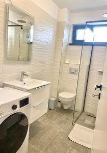 La salle de bains est pourvue de toilettes, d'un lavabo et d'une douche. dans l'établissement Sky Residence Airport Otopeni no 4, à Otopeni