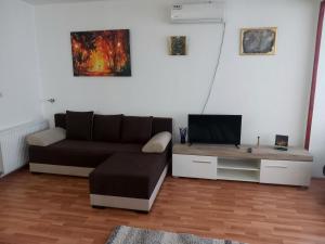 Ruang duduk di Apartmani Ćosić