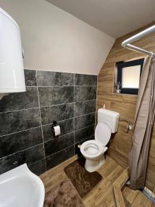 a bathroom with a toilet and a sink at Vikendica Šumski mir Romanija-Sokolac-Sarajevo-Jahorina in Sokolac