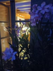 Le Val Daninière B&B Adult only外面的花园
