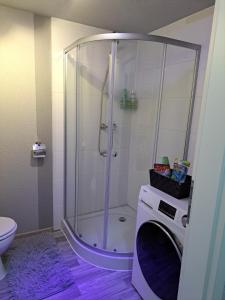 a shower in a bathroom with a washing machine at Wohnung in Elz in Elz