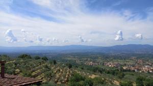 uma vista para uma cidade a partir de uma colina em La sosta di Fano em Reggello