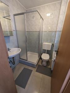 a bathroom with a shower and a toilet and a sink at Burg Stargard Zwei Zimmer Wohnung in Burg Stargard